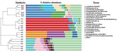 Nature of back slopping kombucha fermentation process: insights from the microbial succession, metabolites composition changes and their correlations